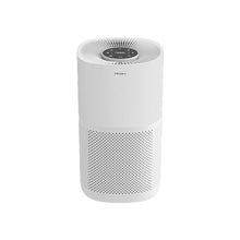 arctic-white main