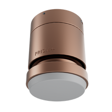 Oasis Motor Housing 46-52" LED - Rose Gold (Version 1)