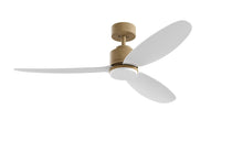 PRISM+ Oasis Pro Curve - 3 Blades - Downrod Smart NRGB
