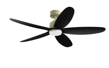 PRISM+ Oasis Pro Curve - 5 Blades - Downrod Smart NCCT