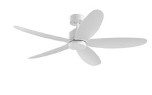 PRISM+ Oasis Pro Curve - 5 Blades - Downrod Standard NRGB