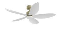 PRISM+ Oasis Pro Leaf - 5 Blades - Downrod Standard NRGB
