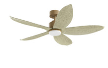 PRISM+ Oasis Pro Leaf - 5 Blades - Downrod Smart NRGB