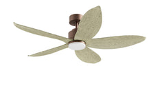 PRISM+ Oasis Pro Leaf - 5 Blades - Downrod Smart NRGB