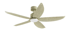 PRISM+ Oasis Pro Wing Tip - 5 Blades - Downrod Standard NRGB