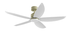 PRISM+ Oasis Pro Wing Tip - 5 Blades - Downrod Standard NRGB