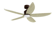 PRISM+ Oasis Pro Wing Tip - 5 Blades - Downrod Standard NRGB