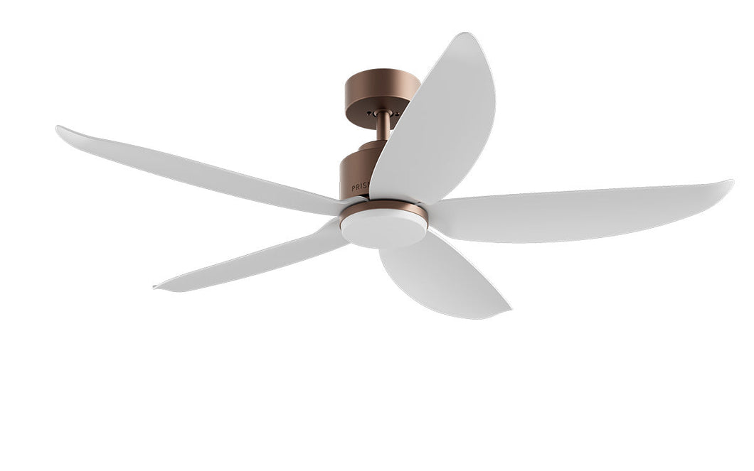 PRISM+ Oasis Pro Wing Tip - 5 Blades - Downrod Standard NCCT