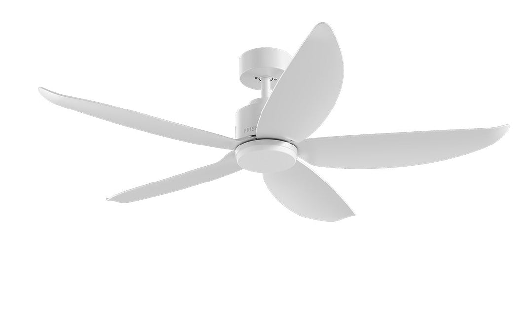 PRISM+ Oasis Pro Wing Tip - 5 Blades - Downrod Standard NCCT