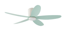Oasis Pro - Blade Mint Green