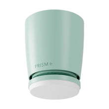 Oasis Pro Macaron Standard Motor 46-52" Hugger - Mint Green