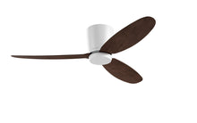 PRISM+ Oasis Pro Curve - 3 Blades - Hugger Standard NCCT