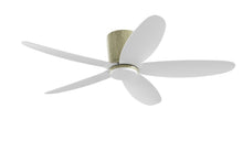 PRISM+ Oasis Pro Curve - 5 Blades - Hugger Standard NRGB