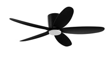 PRISM+ Oasis Pro Curve - 5 Blades - Hugger Standard NRGB