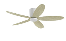 PRISM+ Oasis Pro Curve - 5 Blades - Hugger Smart NRGB