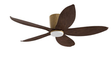 PRISM+ Oasis Pro Leaf - 5 Blades - Hugger Standard NRGB