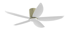 PRISM+ Oasis Pro Wing Tip - 5 Blades - Hugger Standard NCCT