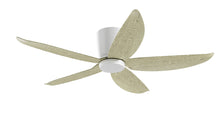 PRISM+ Oasis Pro Wing Tip - 5 Blades - Hugger Smart NCCT