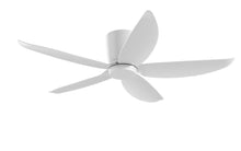 PRISM+ Oasis Pro Wing Tip - 5 Blades - Hugger Smart NCCT