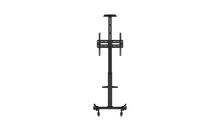Mobile TV Stand: MTS